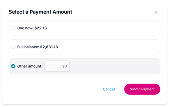 Payment form to select between due now, full balance, other amount